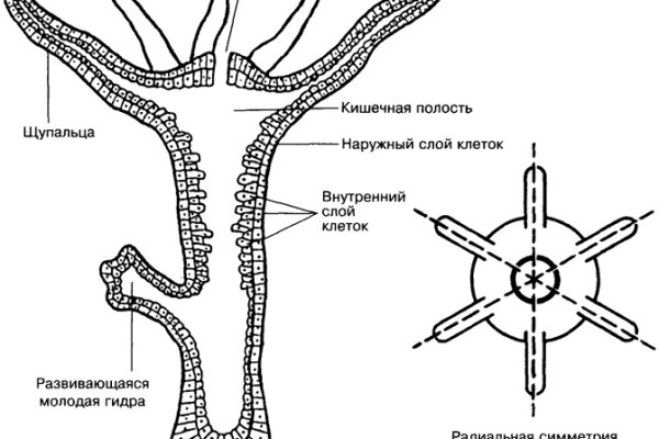 Зеркало тор браузера