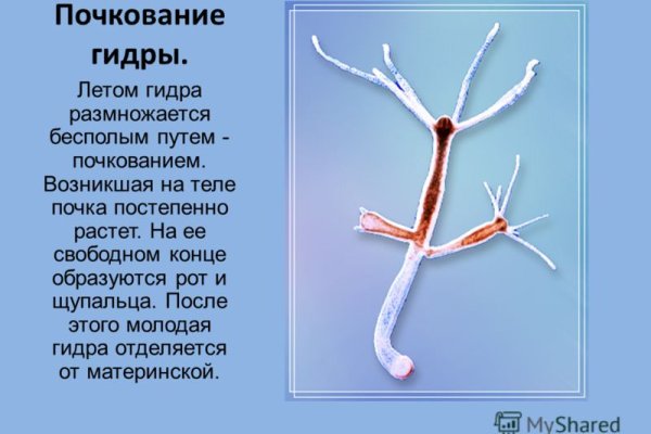 Кракен маркет даркнет только через тор скачать