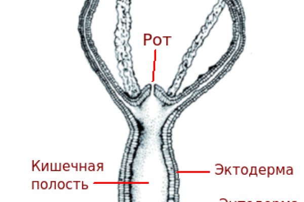 Кракен что за сайт